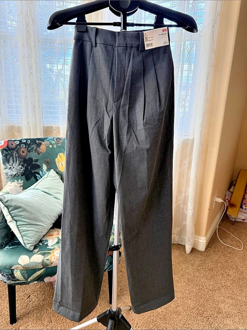 Uniqlo Pleated Wide Pants Gray XXS